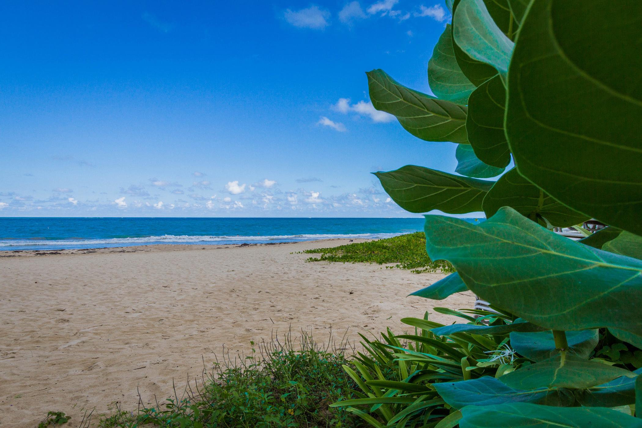 Tryp By Wyndham Isla Verde San Juan Exterior foto